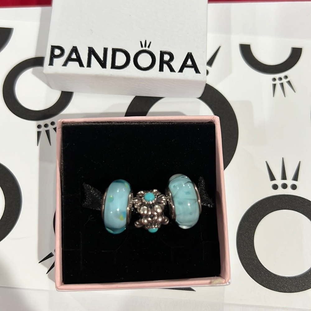 Pandora charms